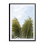 Waving Palms Wall Art - Drawdeck