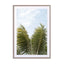 Waving Palms Wall Art - Drawdeck