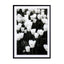 white tulip spring heaven Wall Art - Drawdeck