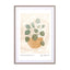 Watercolor houseplants 2 Wall Art - Drawdeck