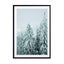 Icy White Wilderness Wall Art - Drawdeck