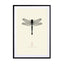 Dragonfly Wall Art - Drawdeck