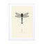 Dragonfly Wall Art - Drawdeck