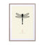 Dragonfly Wall Art - Drawdeck