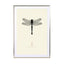 Dragonfly Wall Art - Drawdeck