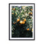 Oranges Wall Art - Drawdeck