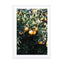 Oranges Wall Art - Drawdeck