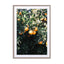 Oranges Wall Art - Drawdeck