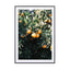 Oranges - Drawdeck