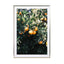 Oranges Wall Art - Drawdeck