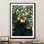 Oranges - Drawdeck