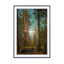 Peaceful - Drawdeck