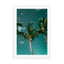 Palms Wall Art - Drawdeck