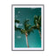 Palms - Drawdeck