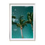Palms - Drawdeck