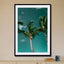 Palms - Drawdeck