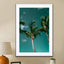 Palms - Drawdeck
