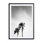 palms in jeddah Wall Art - Drawdeck