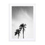 palms in jeddah Wall Art - Drawdeck