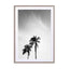 palms in jeddah Wall Art - Drawdeck