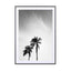 palms in jeddah - Drawdeck