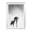 palms in jeddah - Drawdeck