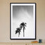 palms in jeddah - Drawdeck
