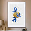 Blue Birds - Drawdeck