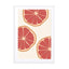 Fruit Ii Wall Art - Drawdeck