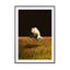 Missing nature - Drawdeck