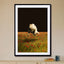 Missing nature - Drawdeck