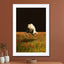 Missing nature - Drawdeck