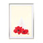 Floral Triangle - Drawdeck