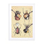 Meet The Beetles Wall Art - Drawdeck