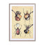 Meet The Beetles Wall Art - Drawdeck