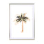 Palm Tree Iii - Drawdeck
