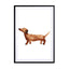 Sausage Dog Wall Art - Drawdeck