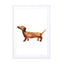 Sausage Dog Wall Art - Drawdeck