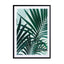 Palm Leaves - Drawdeck