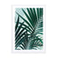 Palm Leaves - Drawdeck