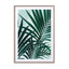 Palm Leaves Wall Art - Drawdeck