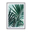 Palm Leaves - Drawdeck