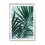 Palm Leaves - Drawdeck