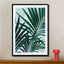 Palm Leaves - Drawdeck