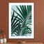 Palm Leaves - Drawdeck