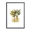 Plants03 Wall Art - Drawdeck