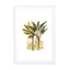 Plants03 Wall Art - Drawdeck