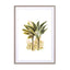 Plants03 Wall Art - Drawdeck