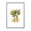 Plants03 - Drawdeck