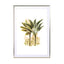Plants03 - Drawdeck